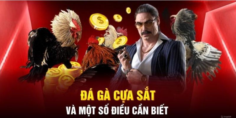 Đá gà cựa sắt